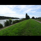 Radweg entlang des Rheindamms